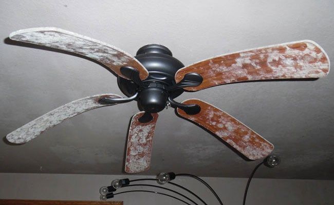 Ceiling Fan With Molds