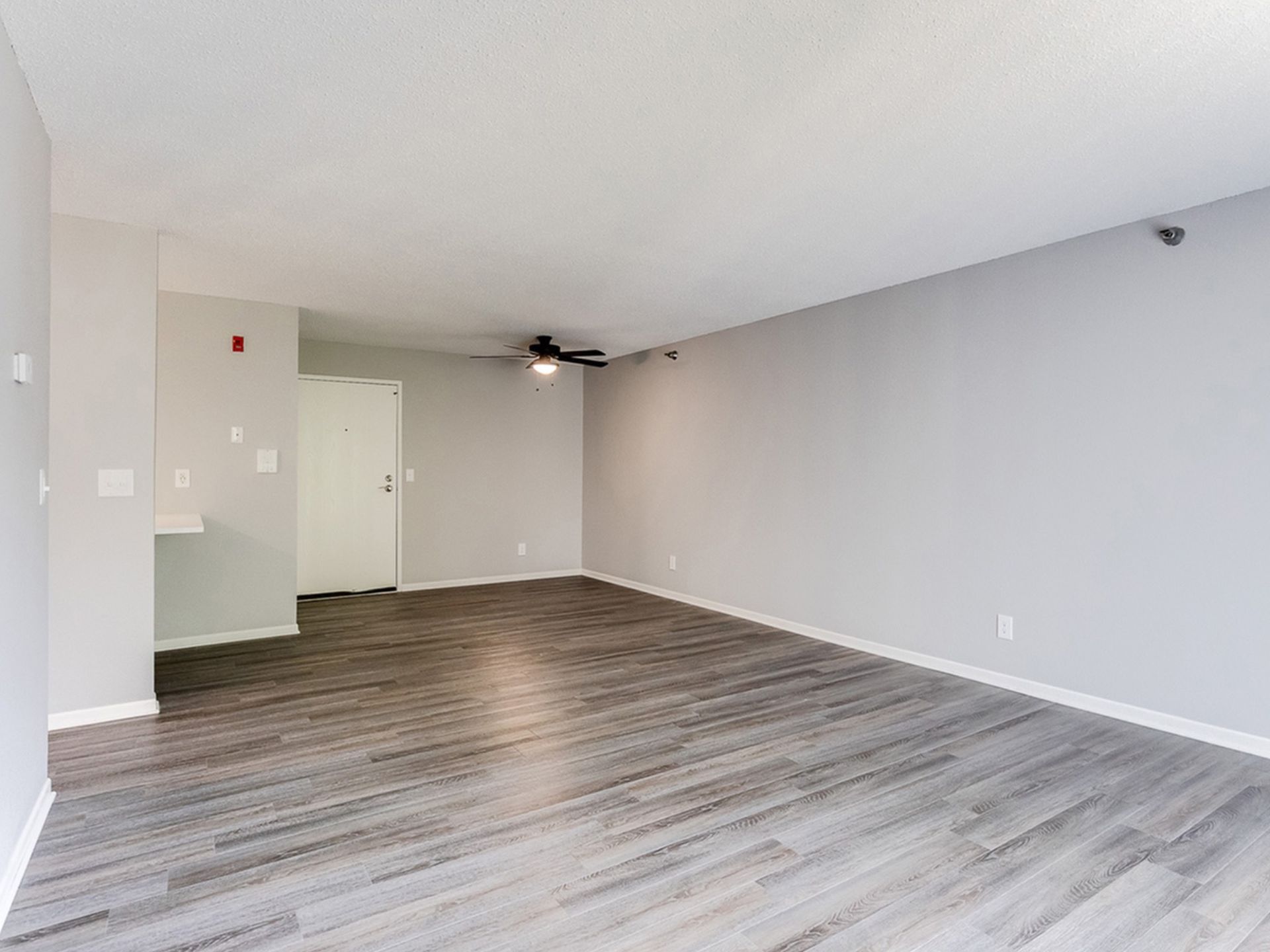 Empty apartment living room with gray walls, wood-look laminate flooring, and a ceiling fan.