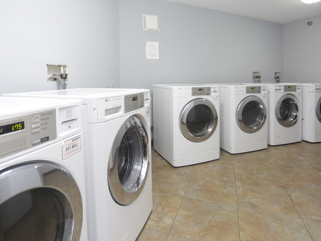 Row of front-loading washing machines in a communal laundry room.