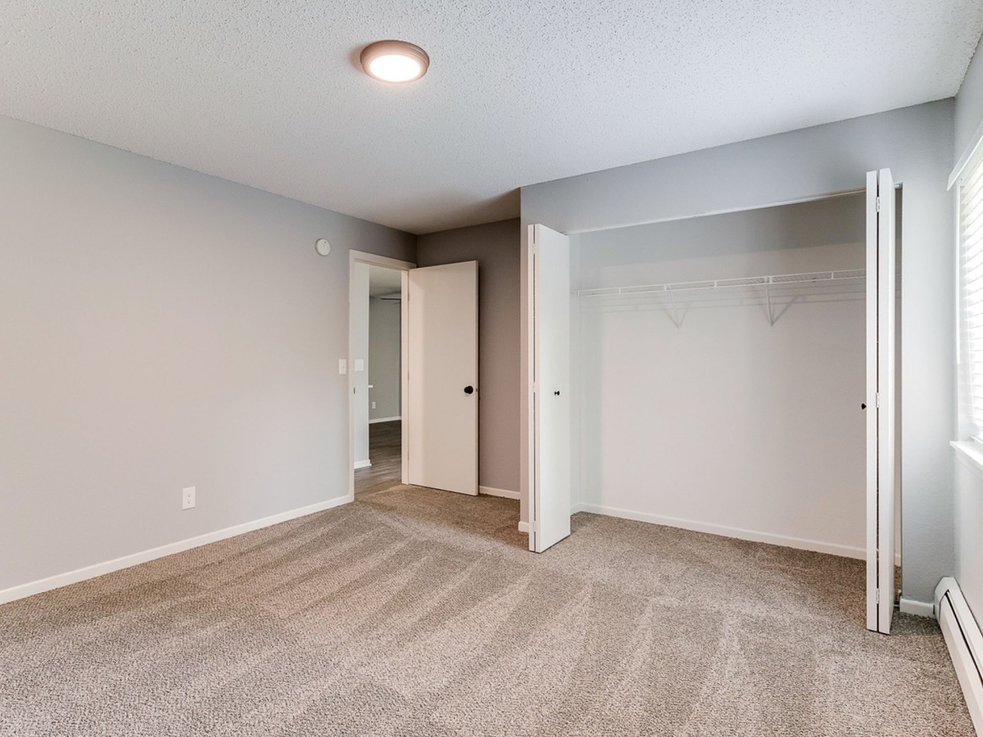 Bedroom with neutral gray walls, beige carpet, a ceiling light, and a double-door closet.