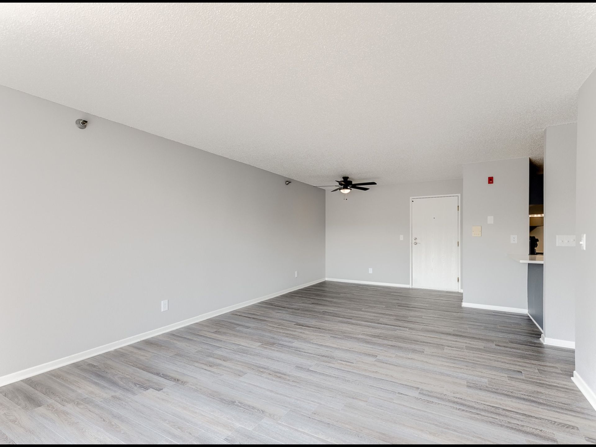 Empty living room in a modern apartment with gray walls, wood-look flooring, and a ceiling fan.