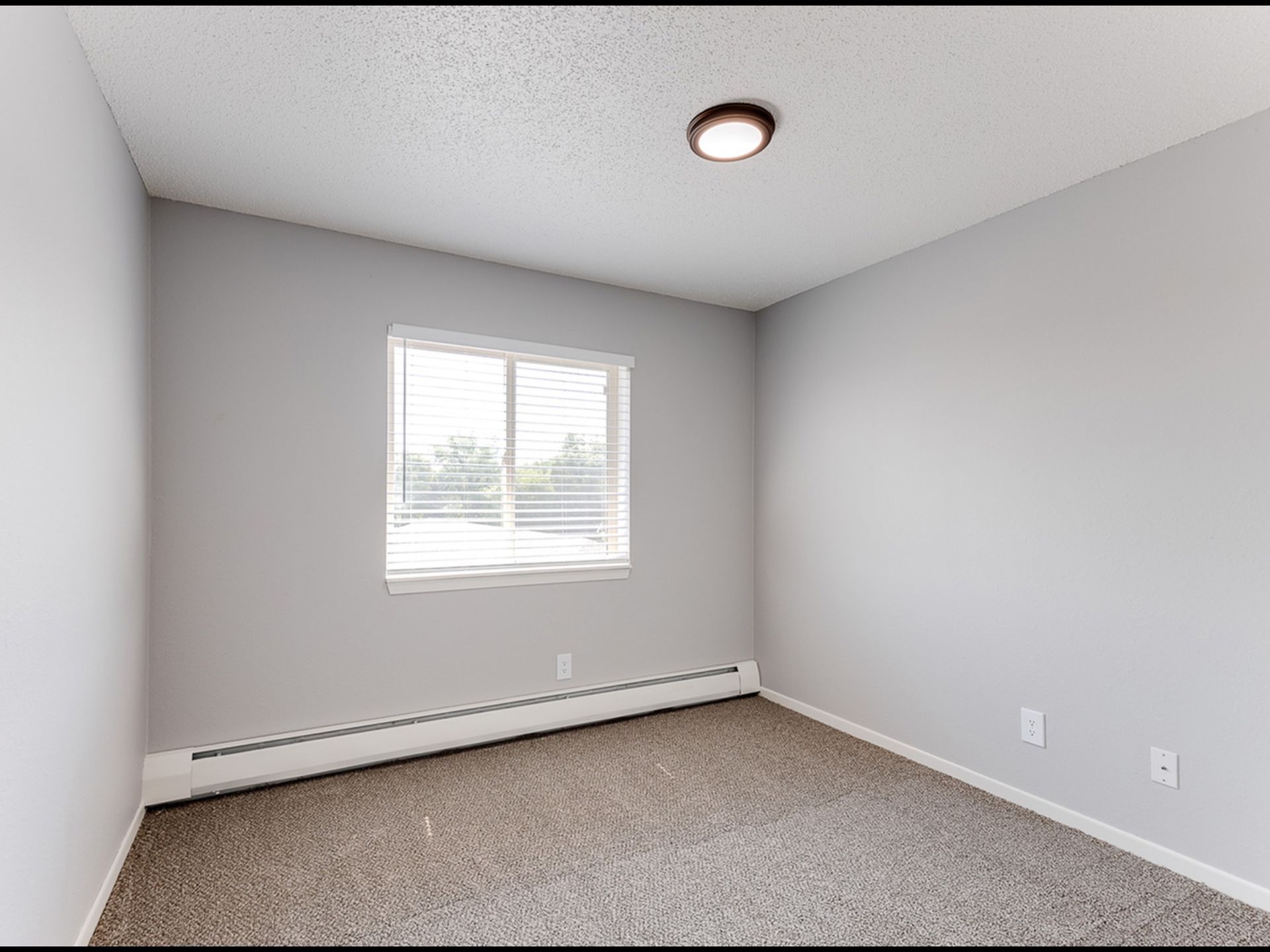 Empty apartment bedroom with gray walls, a window with blinds, baseboard heater, and carpet.