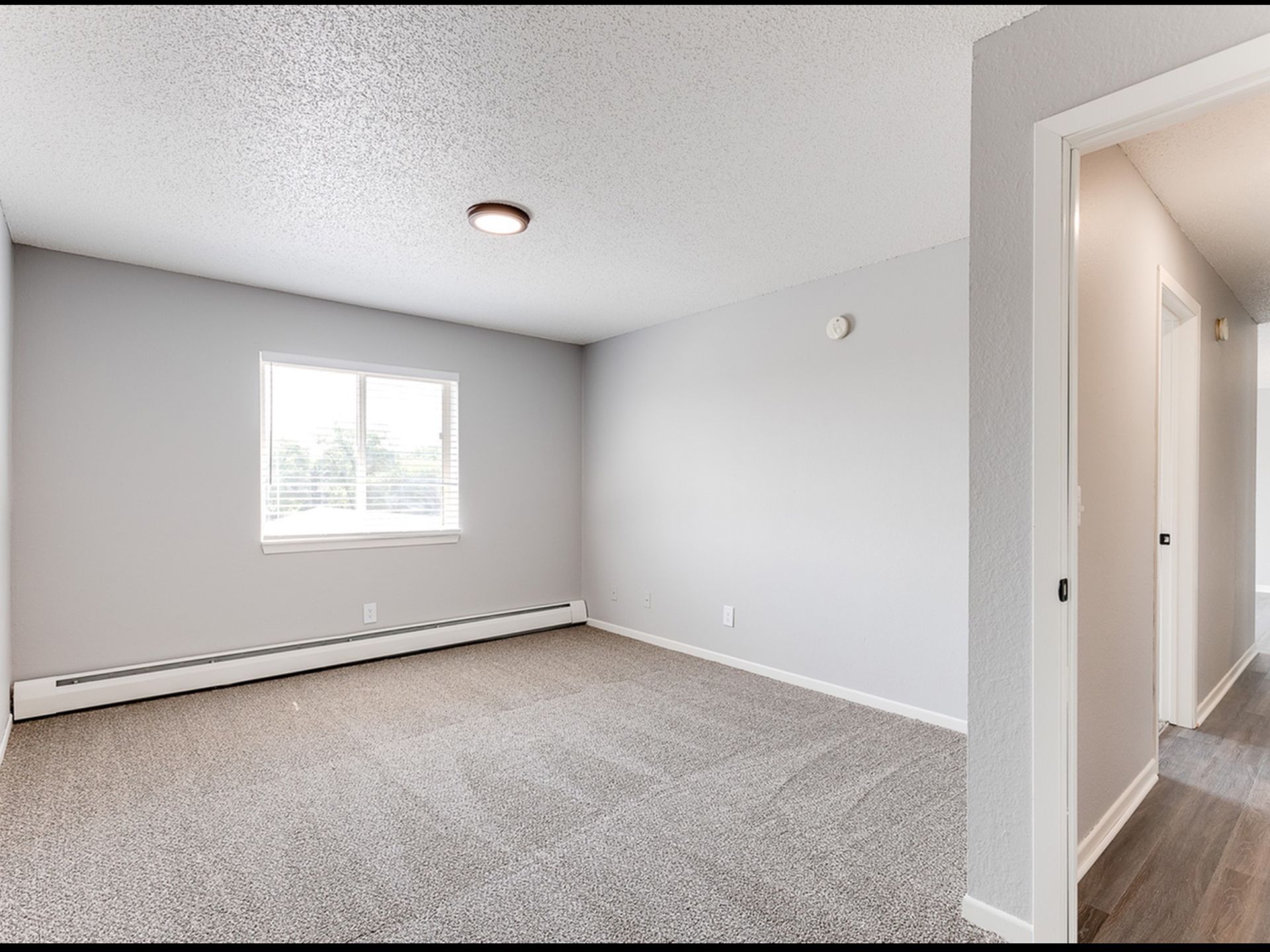 Empty apartment living room with light gray walls, carpet, a window, and baseboard heat.