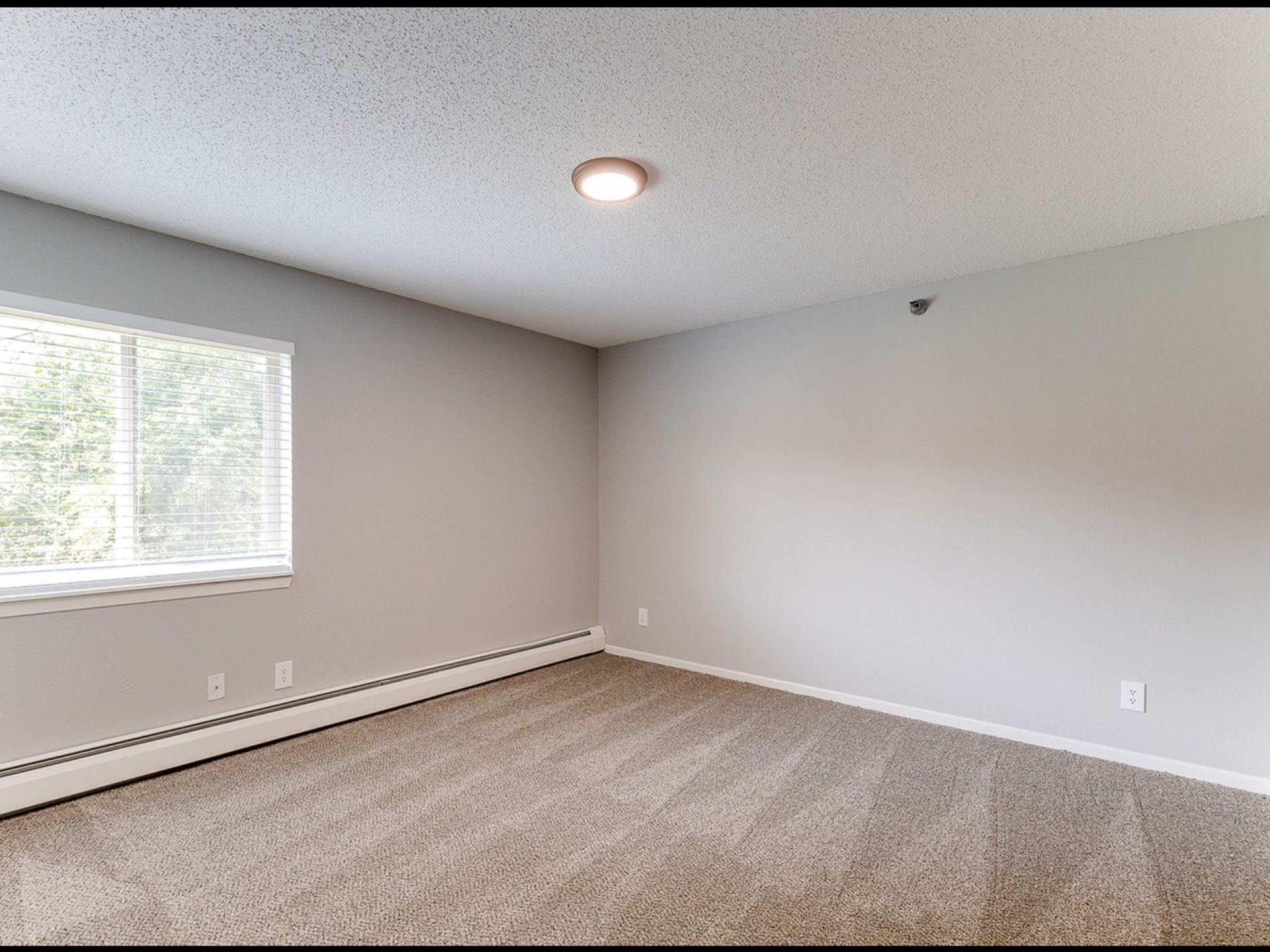 Empty apartment room with gray walls, beige carpet, a window with blinds, and baseboard heat.