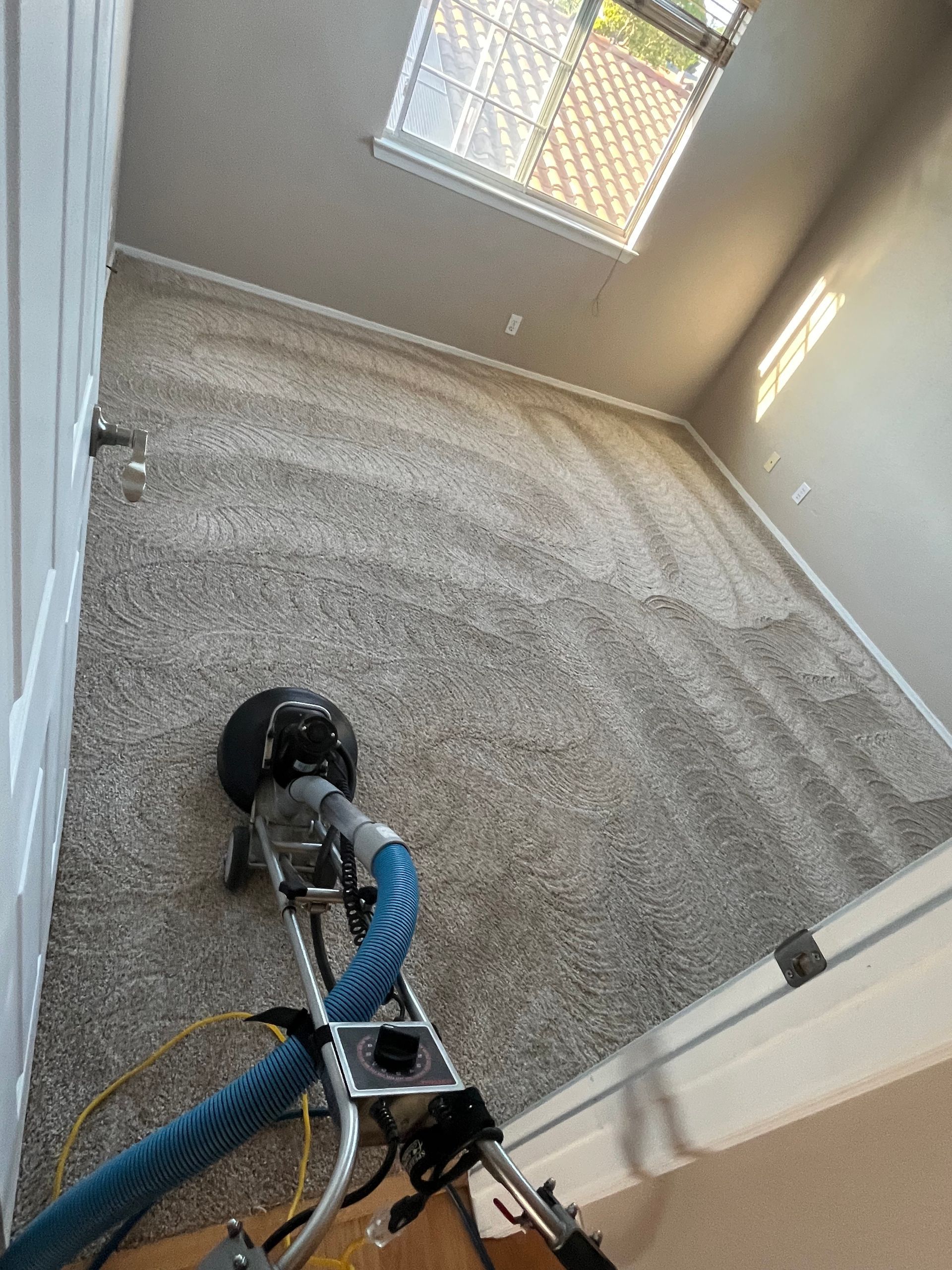 best rug cleaning companies A vacuum cleaner is cleaning a rug in a living room.