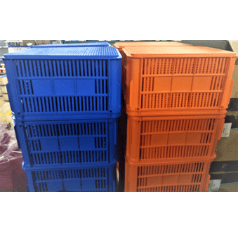 Blue And Orange Fish Tray — Darwin Shipstores in Darwin, NT