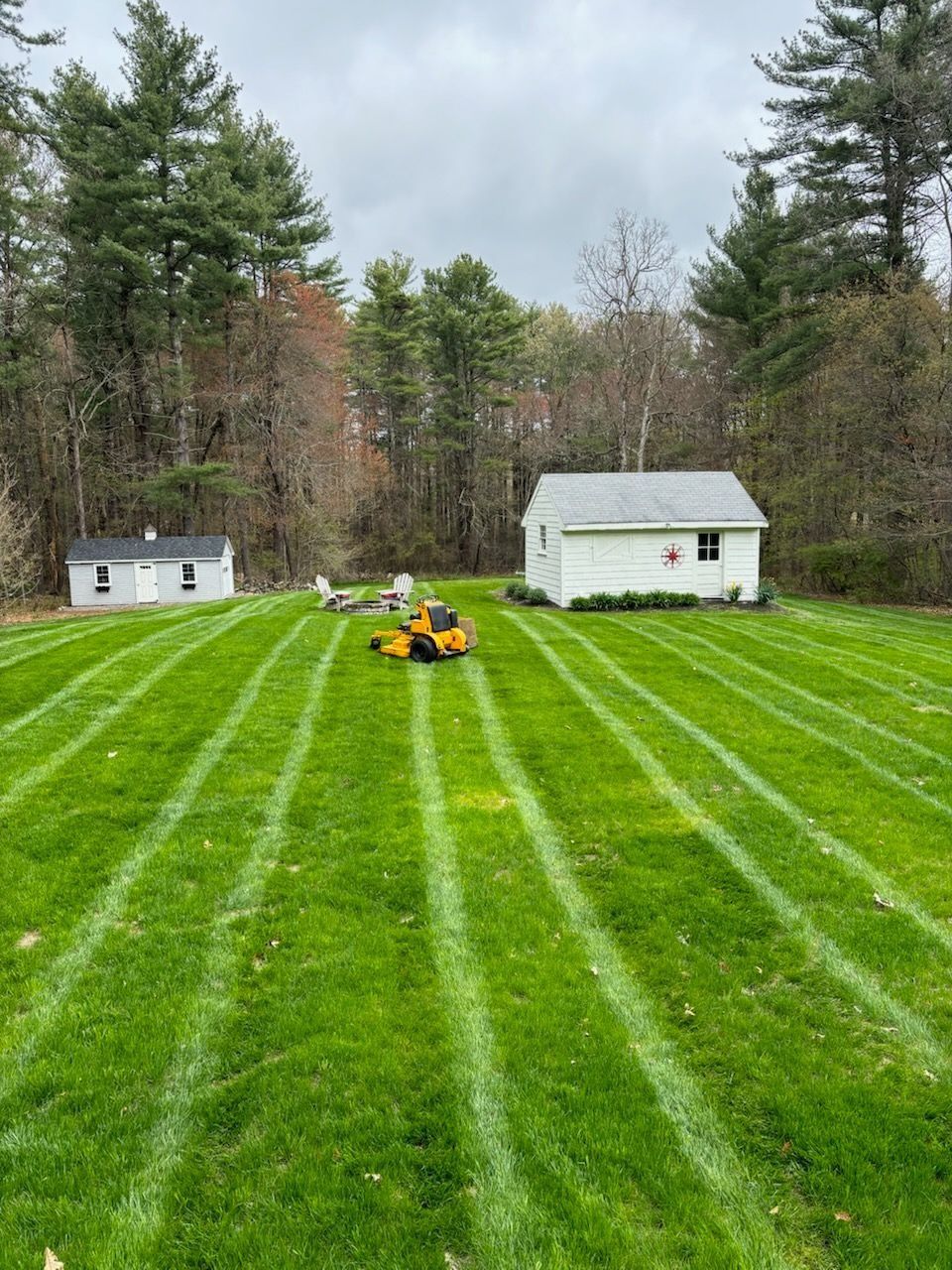 Lawn mower cutting grass in a backyard, creating green and white stripes.