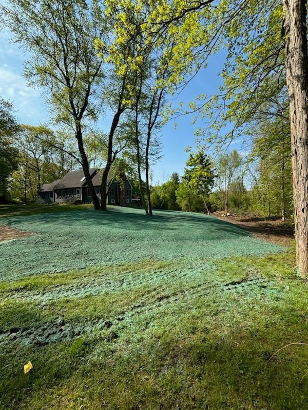Newly seeded lawn with green mulch, trees, and a house in the background under a blue sky.