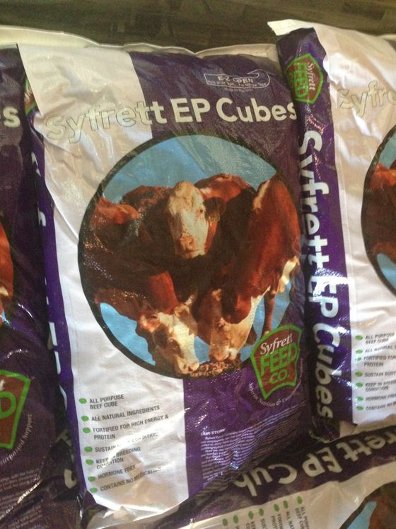 Custom Cattle Feed Okeechobee, FL Syfrett Feed Company, Inc