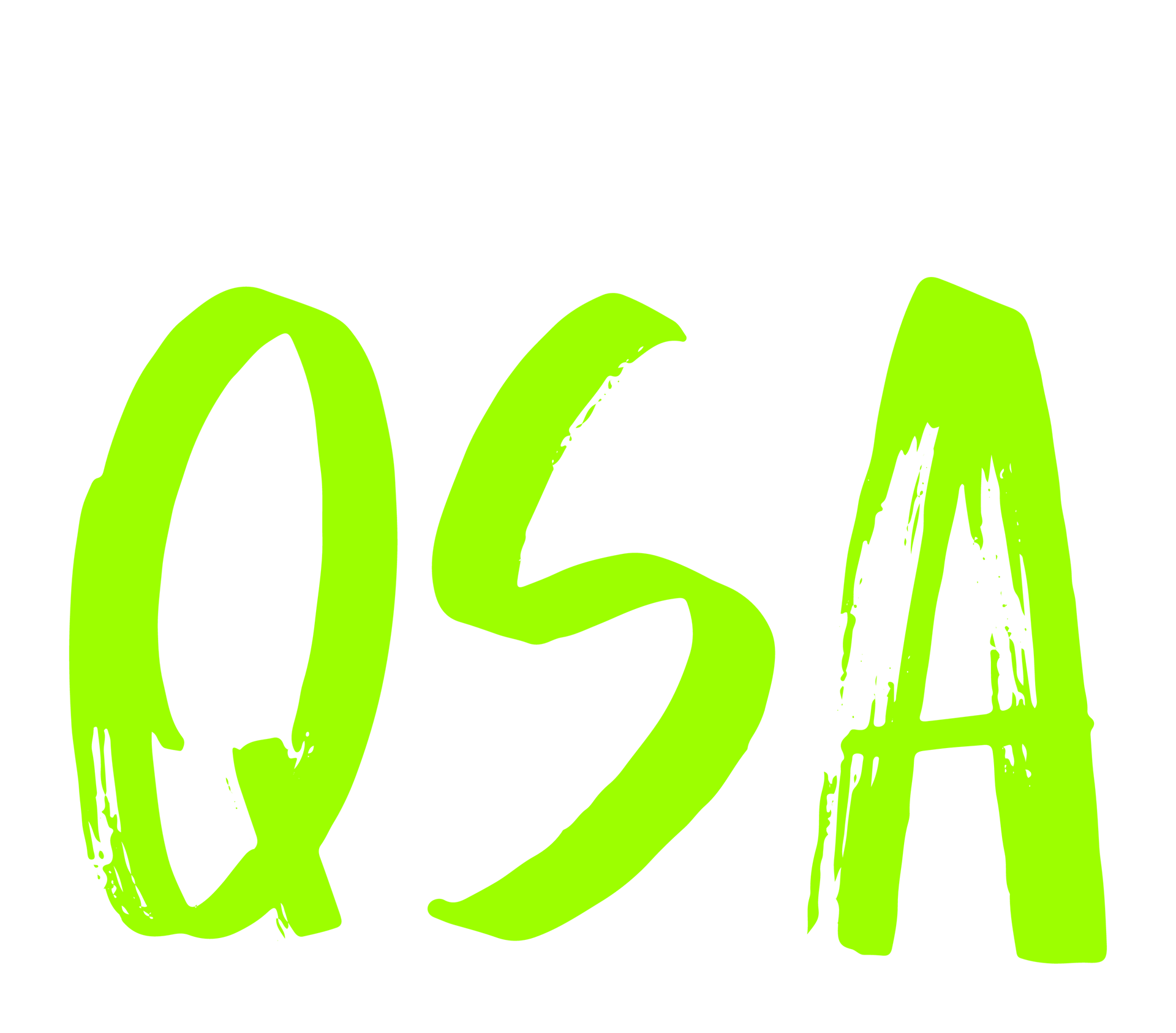 QSA logo