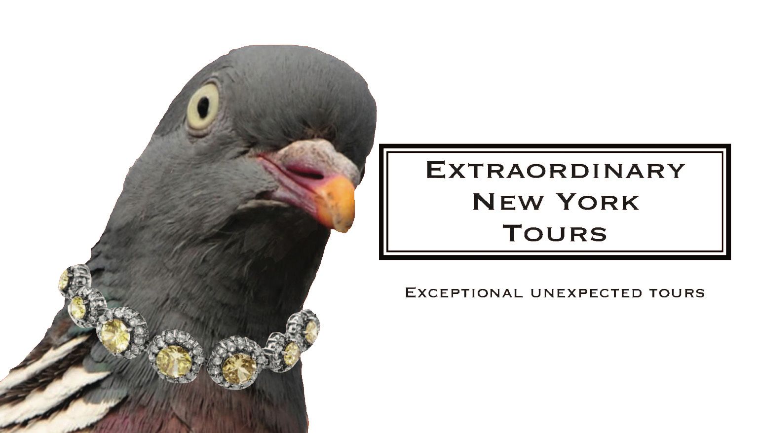 Extraordinary New York Tours