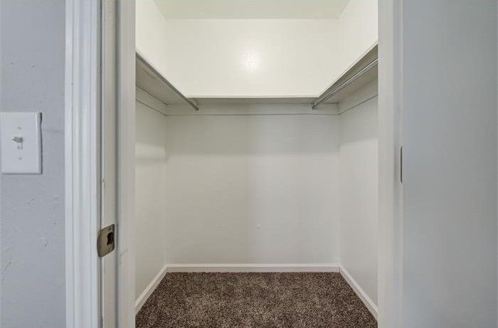 Empty walk-in closet with shelves at the top, beige carpet, and a light switch on the wall.