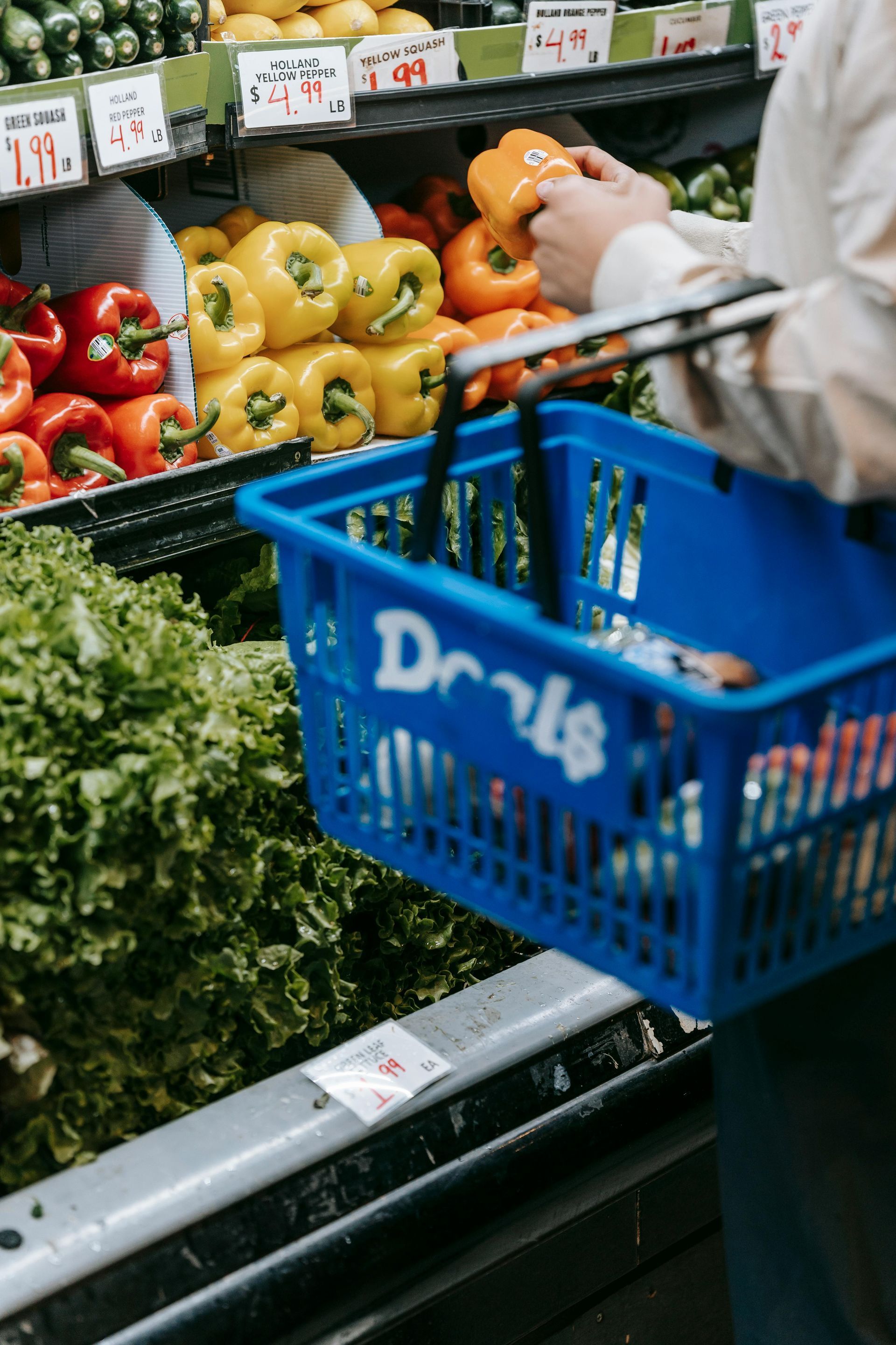 A photo of a family grocery shopping while pushing a cart