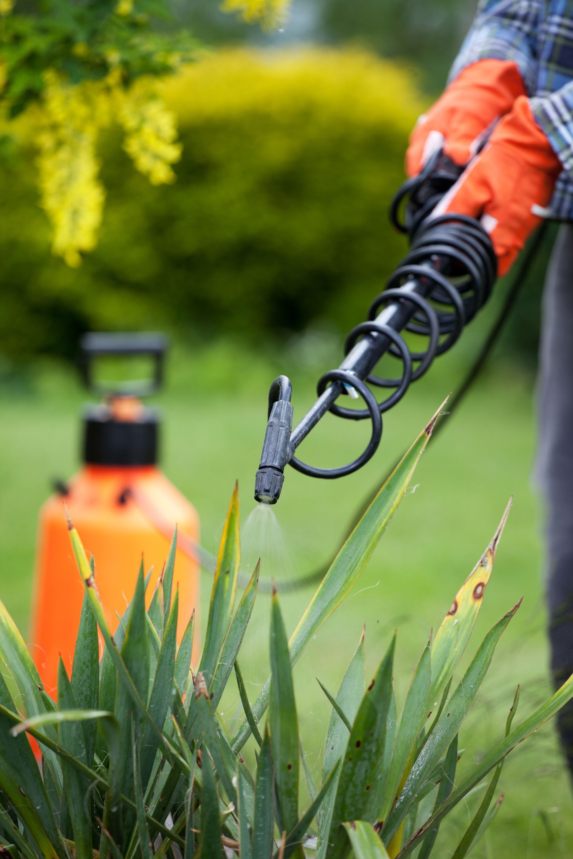 Residential Pest Control Services