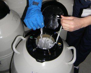 Cryo storage 