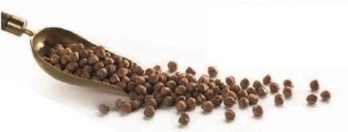 dried hazelnuts