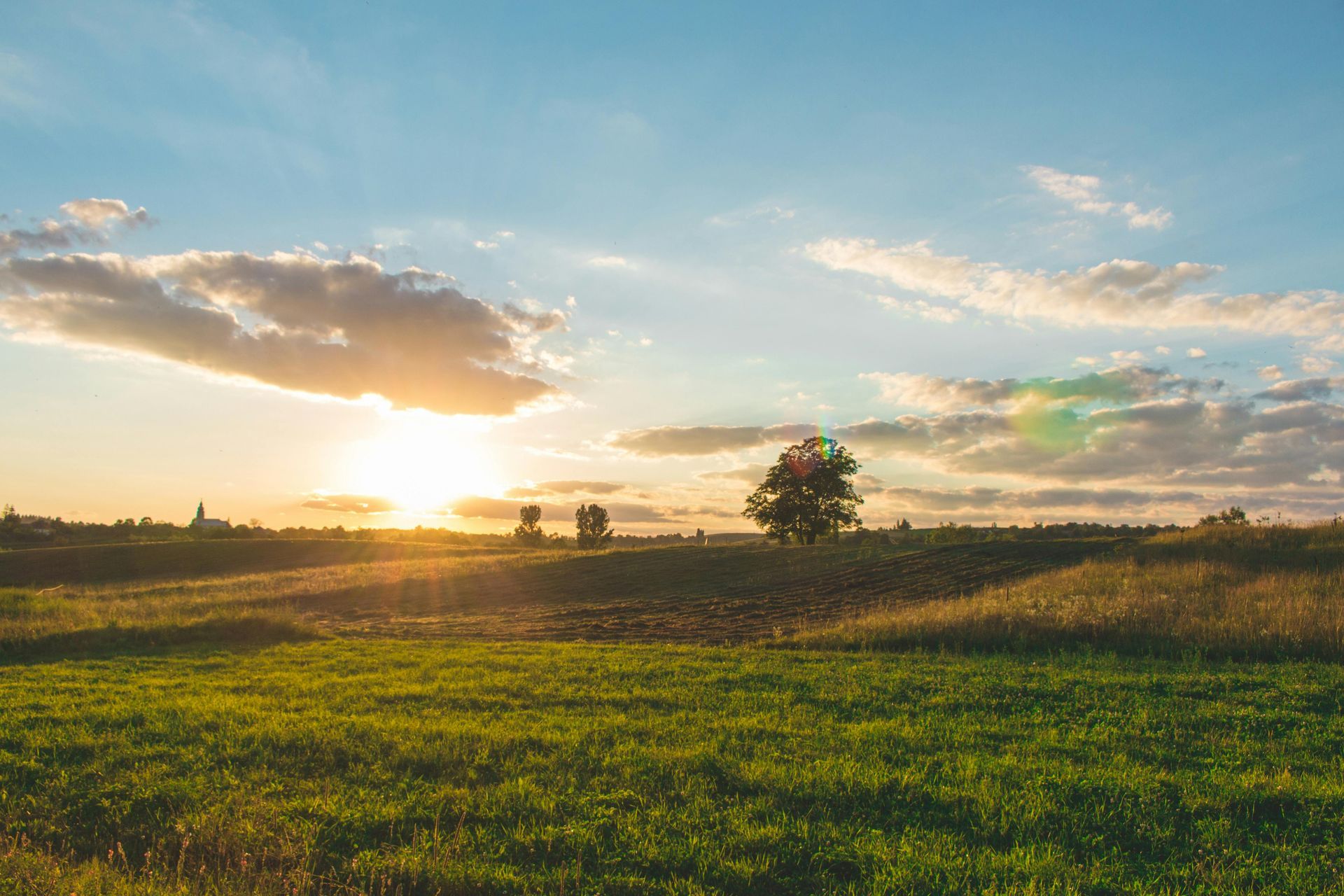 Golden sunset over a grassy field with a lone tree, under a partly cloudy sky.