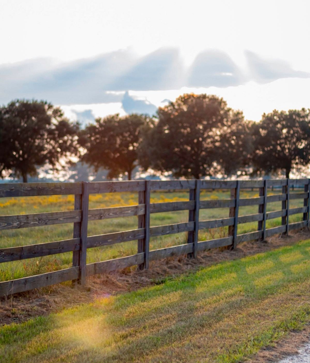Wooden fence in field with trees and sunlight.