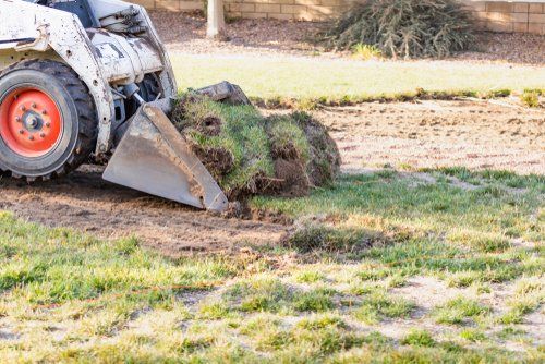 Land Clearing