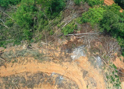 Land Clearing