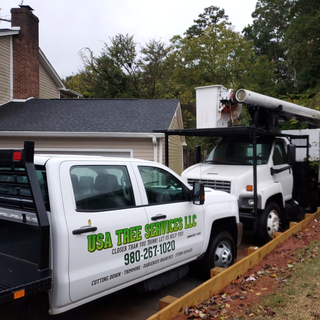 Cutting the Tree with Chainsaw — Belmont, NC — USA Tree Service LLC