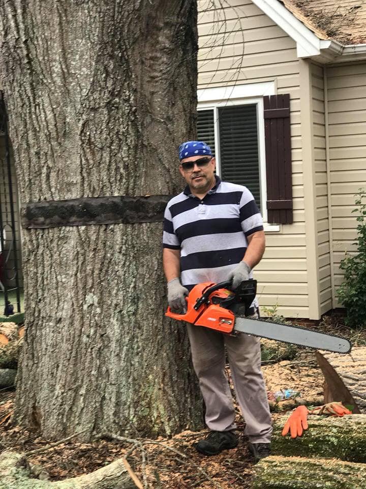 A Man with a Chainsaw Beside a Tree — Belmont, NC — USA Tree Service LLC
