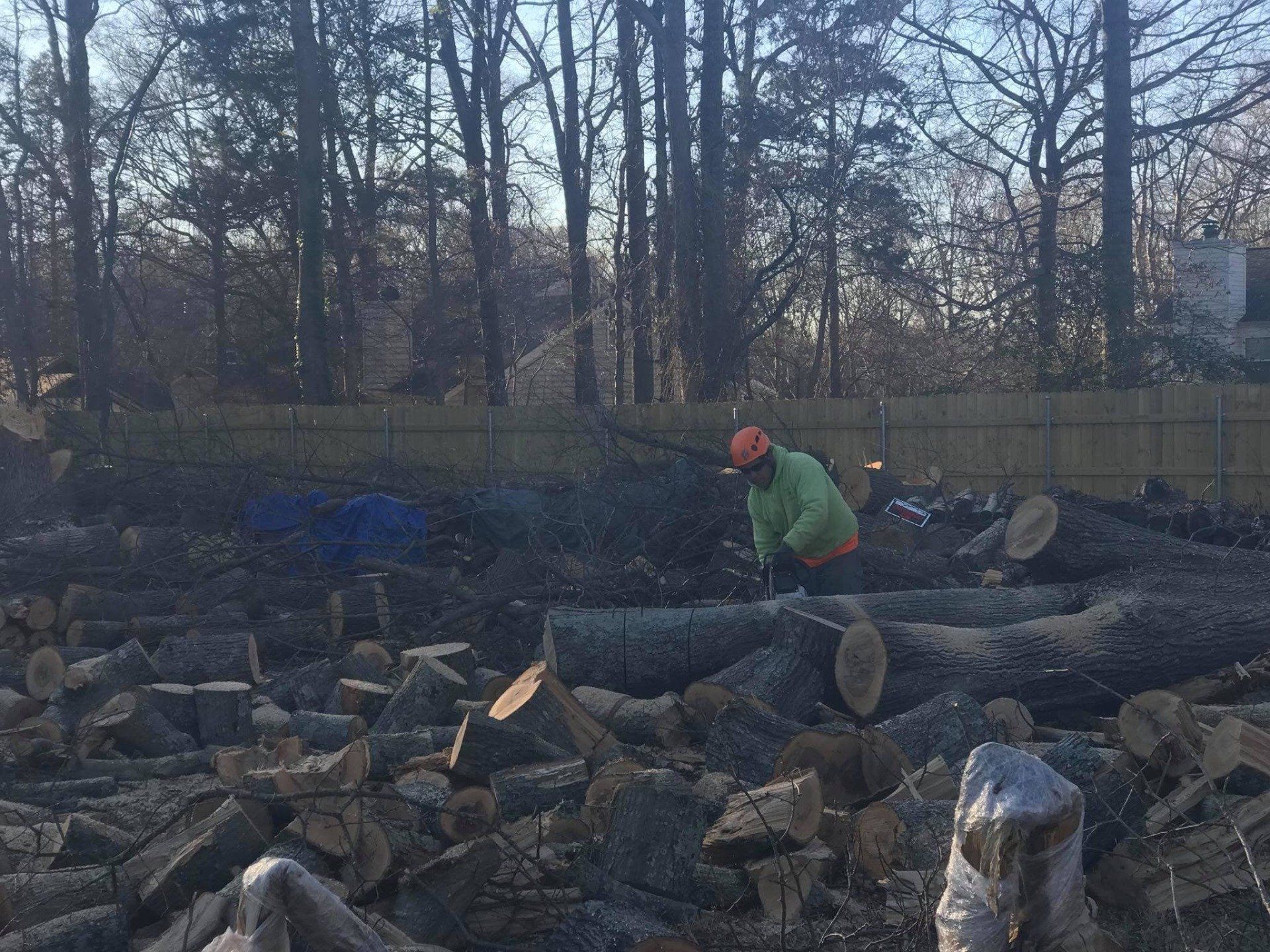 A Man with Chainsaw Cutting a Body Tree — Belmont, NC — USA Tree Service LLC