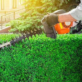 Hedge Trimming in the Garden — Belmont, NC — USA Tree Service LLC