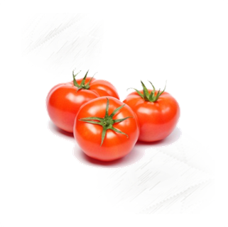 3x fresh vibrant red tomatoes white custom background groceries-plus