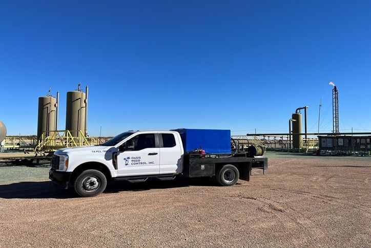 Weed growing in a crop field. Weed control, organic farming