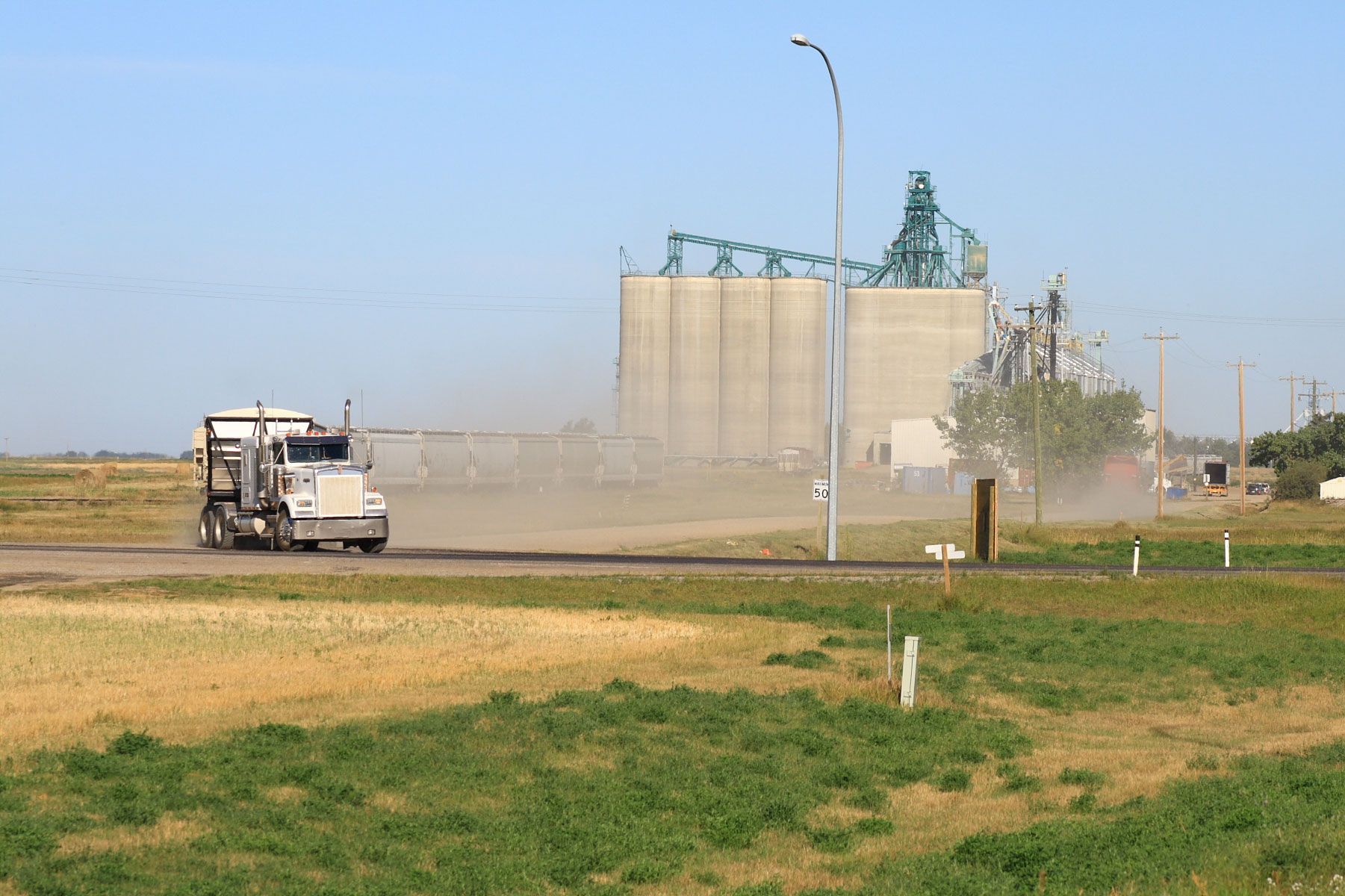 Men Fighting Grass Lawn Weeds