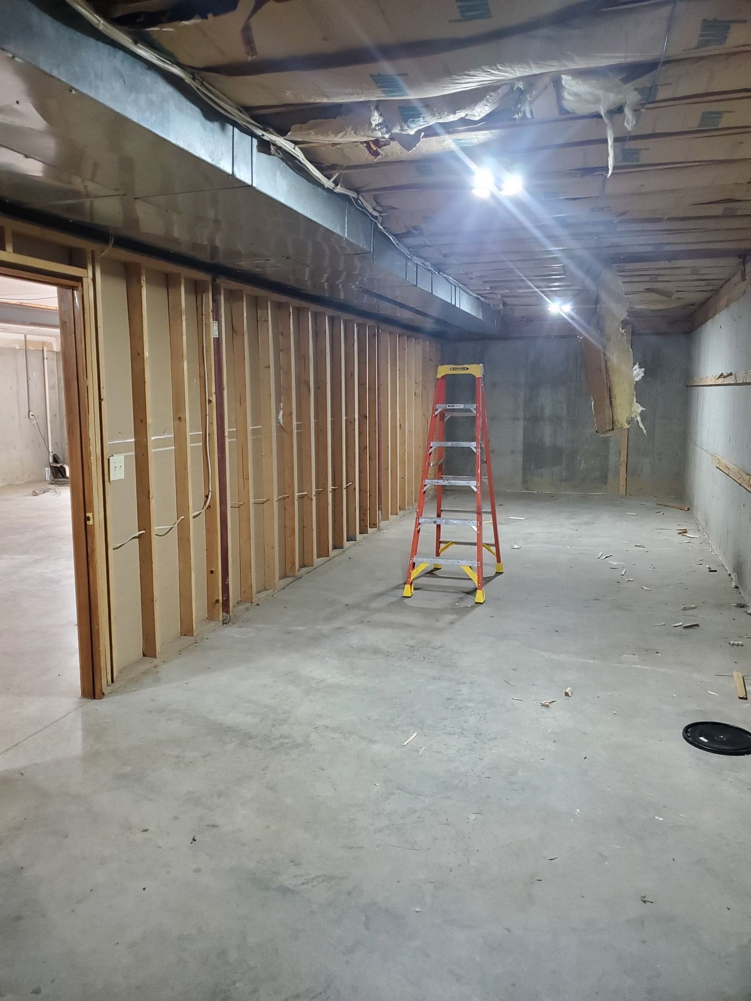 Basement with wood-framed wall, ladder, and concrete floor. Exposed ceiling joists with overhead lighting.