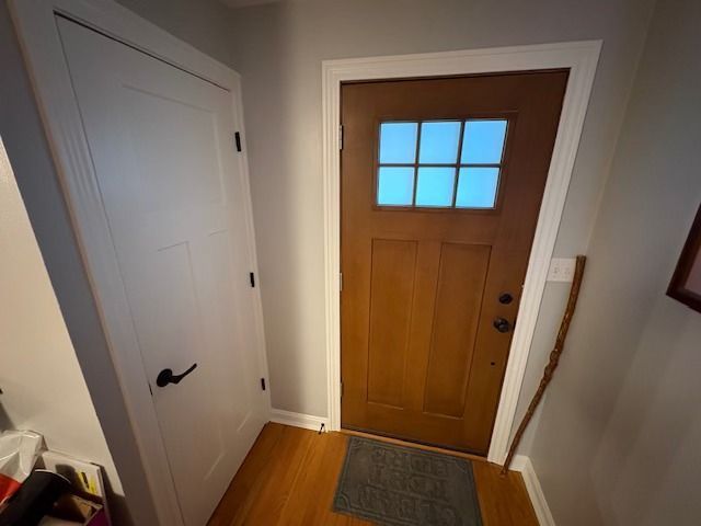 Entryway with a brown door and a white door; a gray rug is inside the brown door.