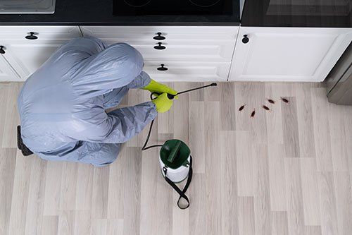 Worker Cleaning Kitchen — Bradley, IL — Bisaillon’s Rid All Termite & Pest Solutions