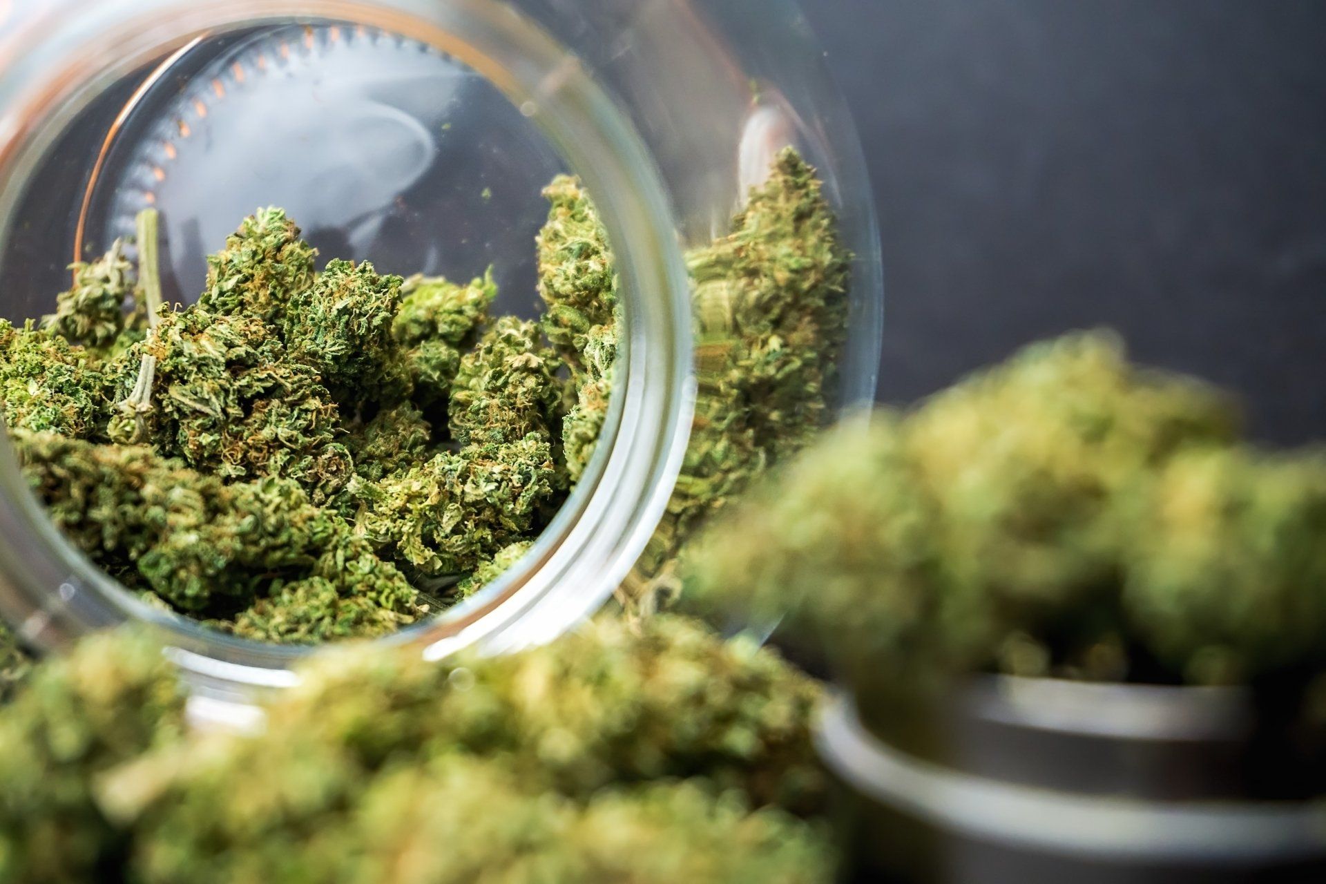 Marijuana bail bonds