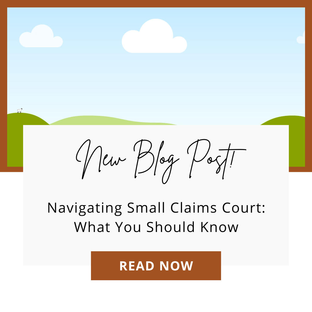 Navigating Small Claims Court: What You Should Know