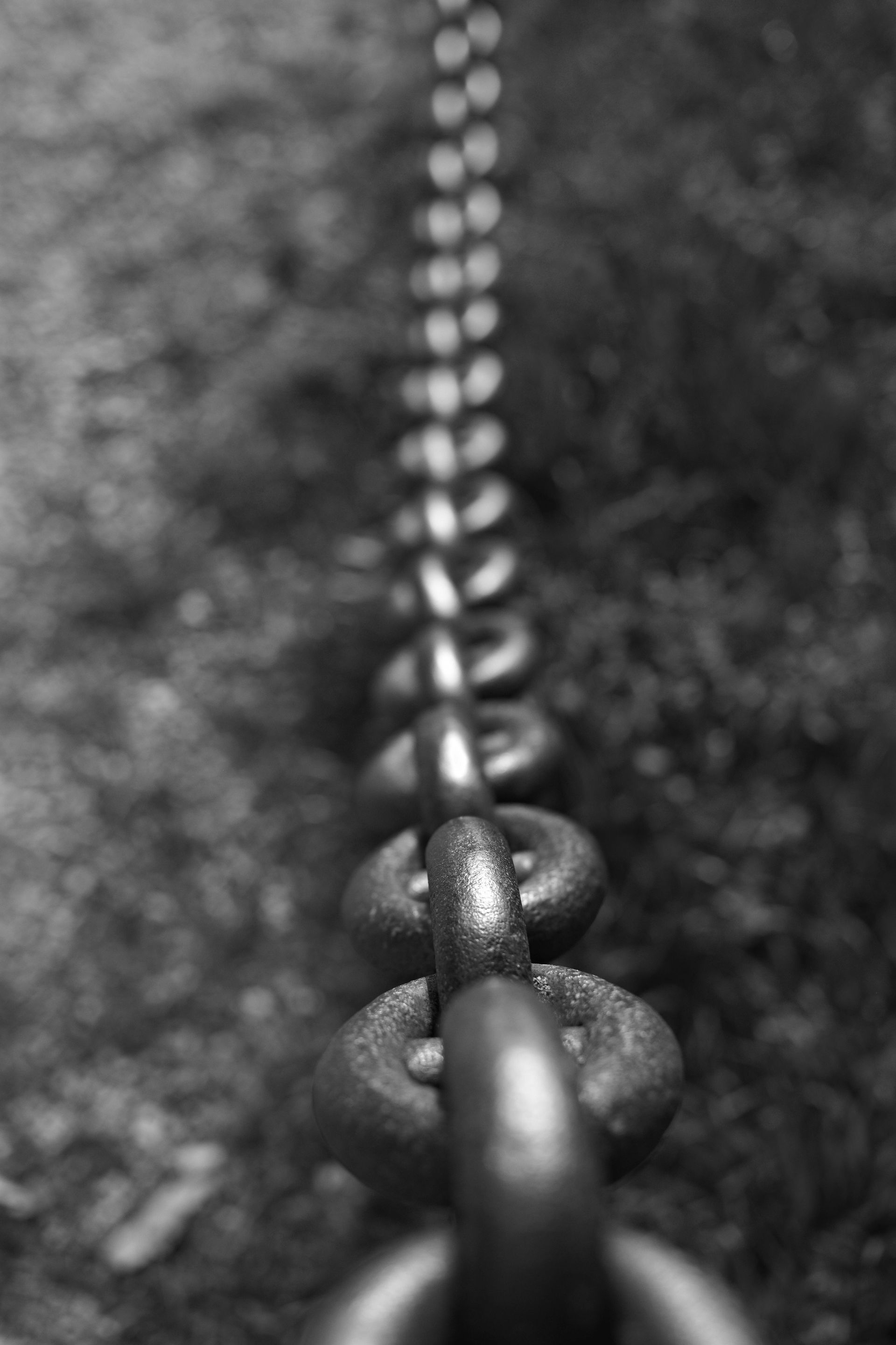 Black and white chain links in a line, lying on grass, perspective view, shallow depth of field.