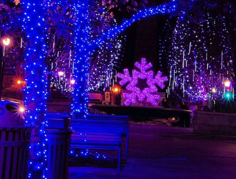 Trees and a snowflake sculpture illuminated with blue and purple Christmas lights at night.