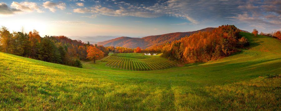 Rolling green hills, vineyard, and mountains under a colorful sky with autumn foliage.