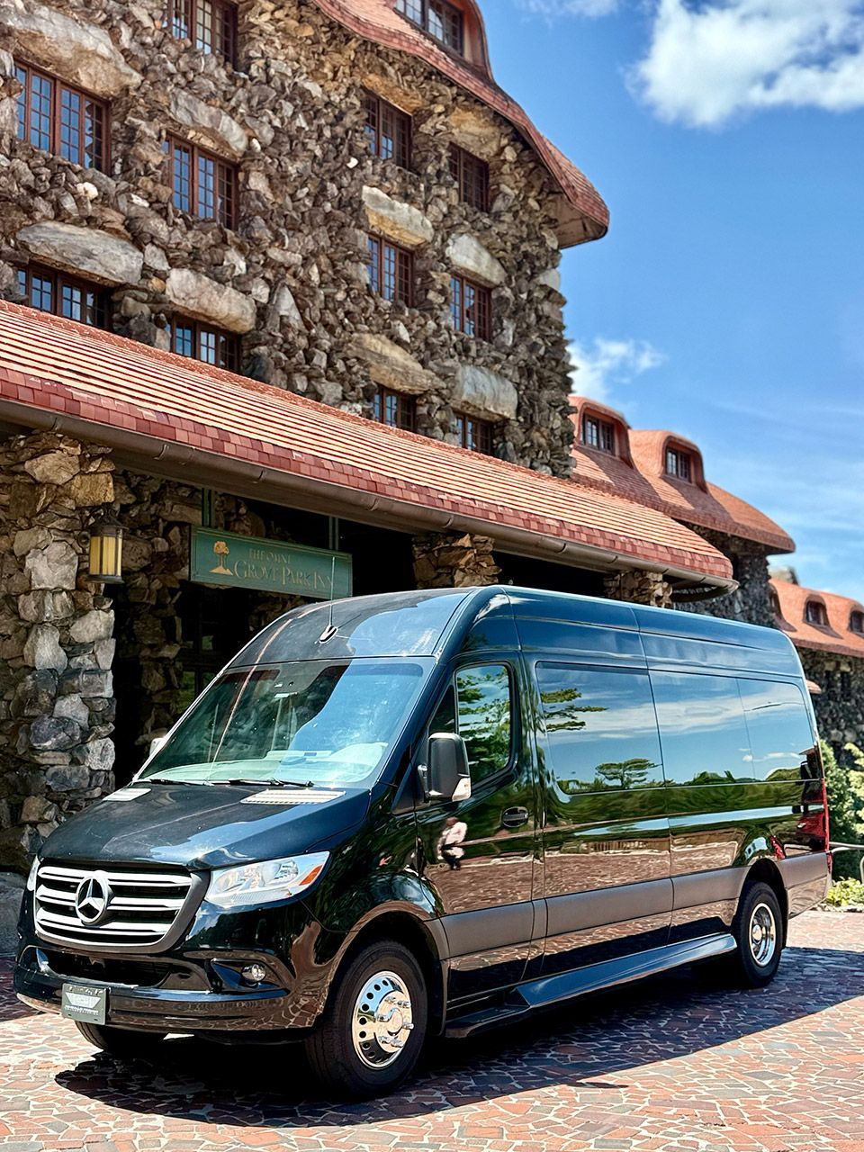 Dark gray Mercedes Sprinter van parked near a blooming pink tree on a wet day.