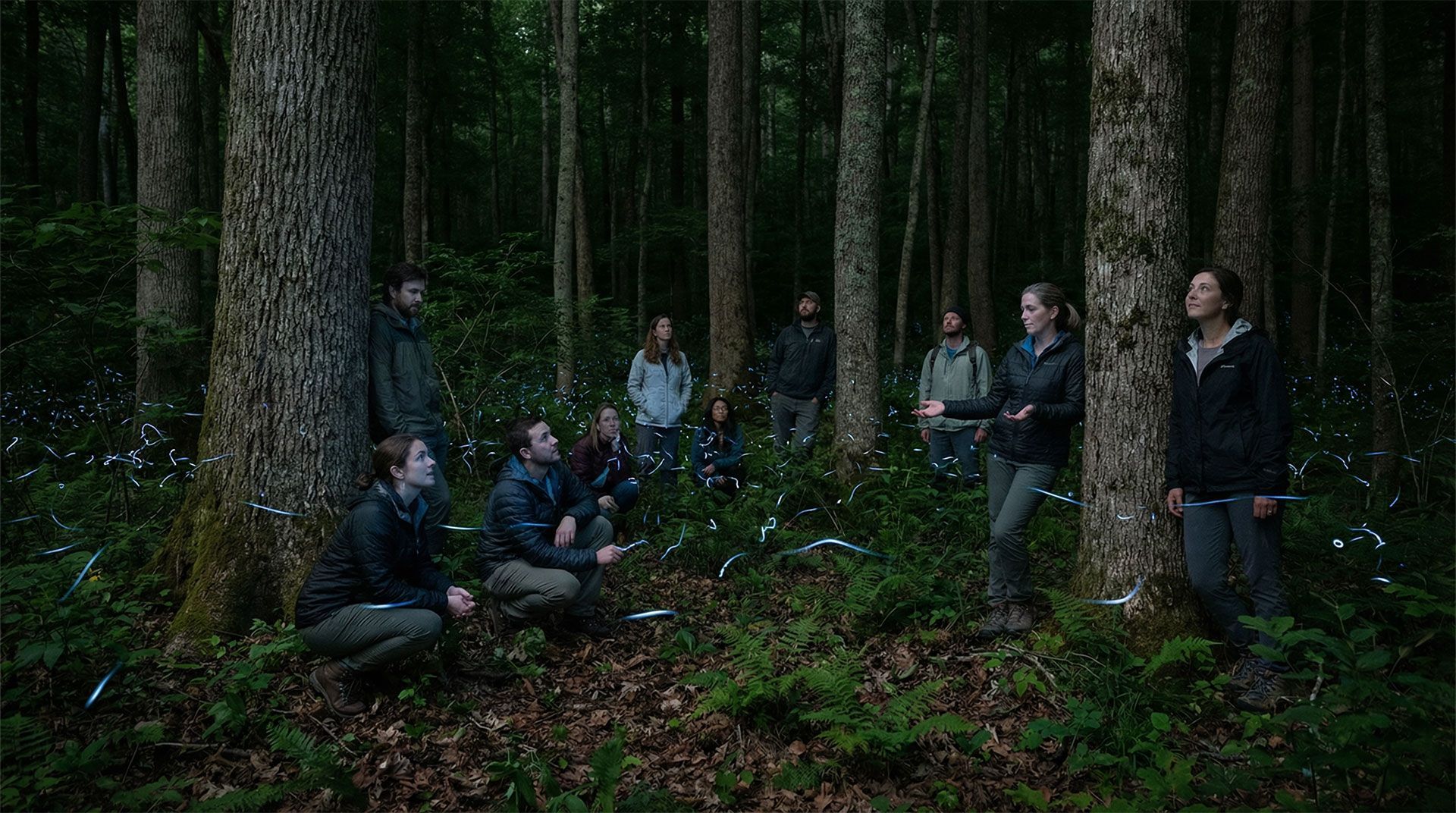 A group of people standing and crouching in a dimly lit, dense forest experiencing the Blue Ghost fireflies.