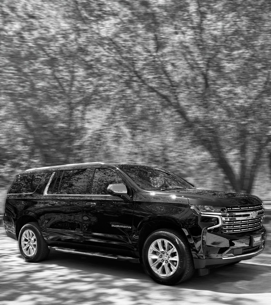 Dark gray Mercedes Sprinter van parked near a blooming pink tree on a wet day.