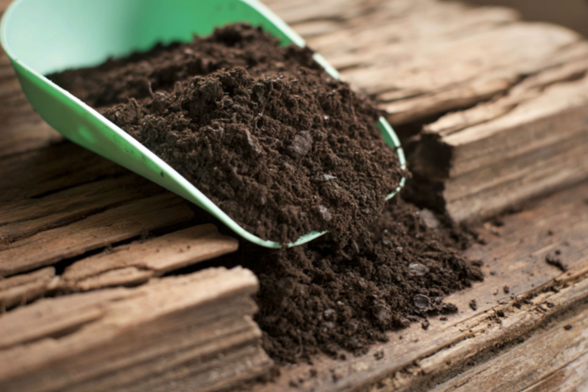 Scoop of rich dark soil spilling onto weathered wooden planks