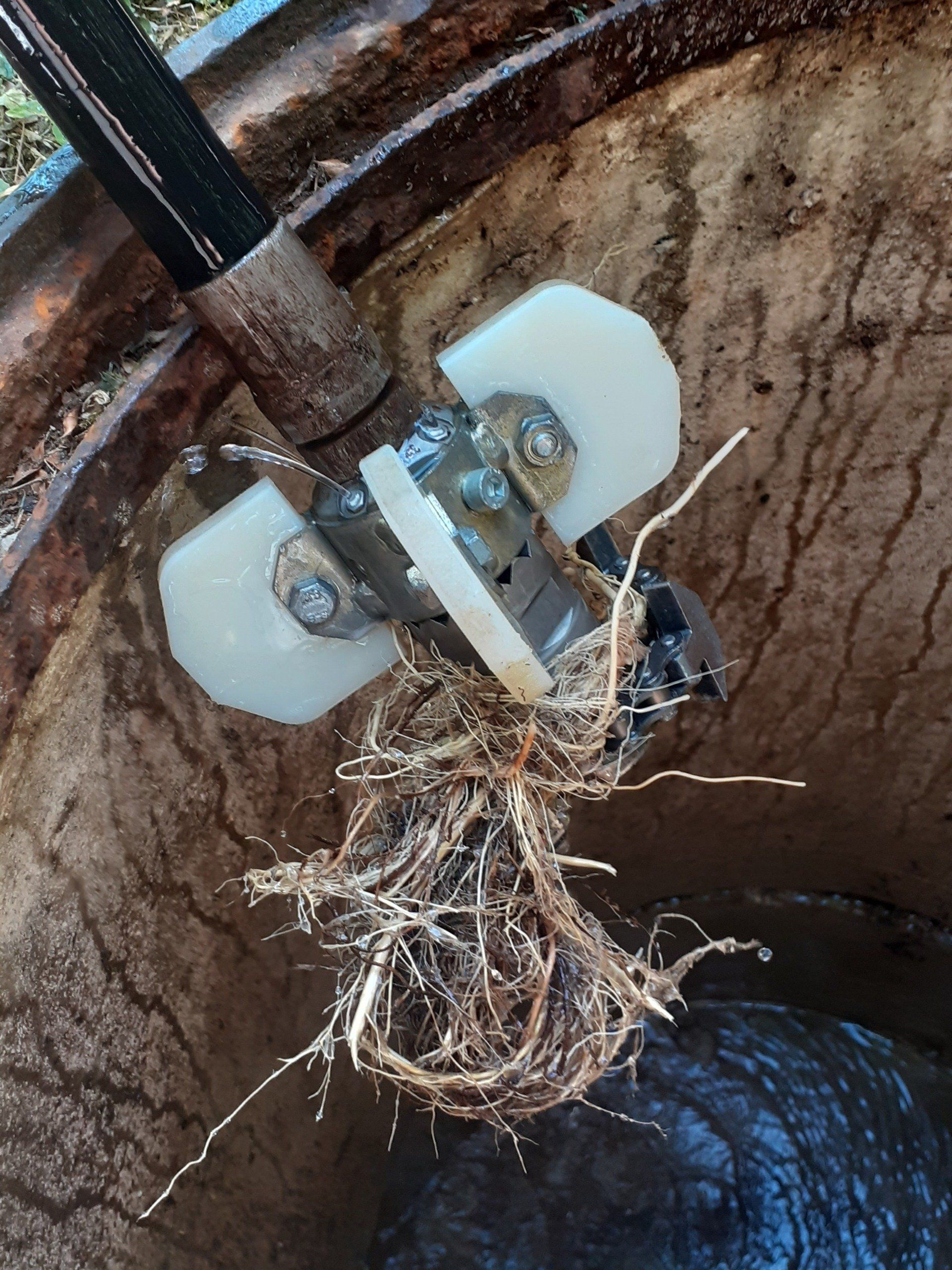 Débouchage de racines