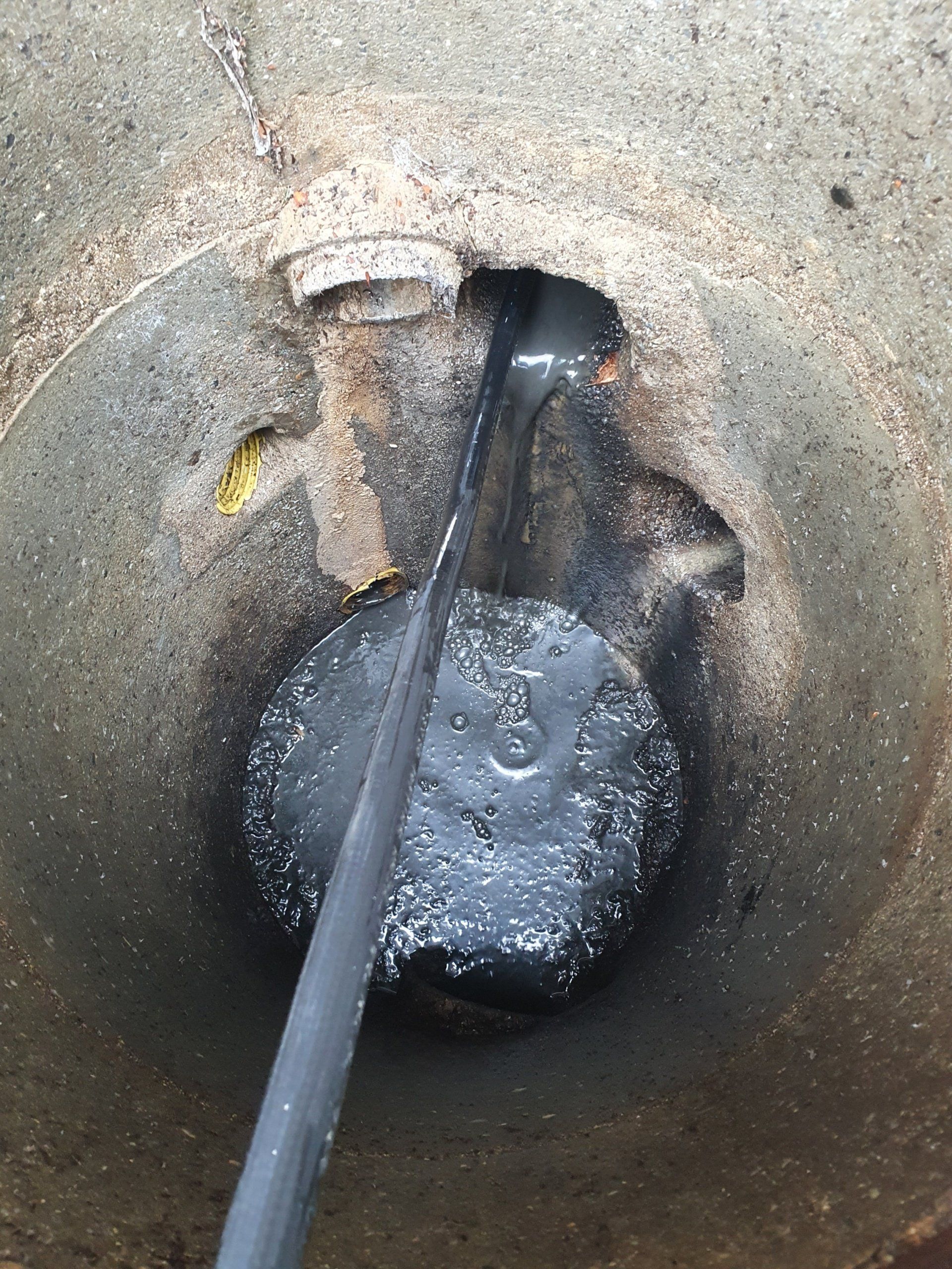 Travail dans un regard