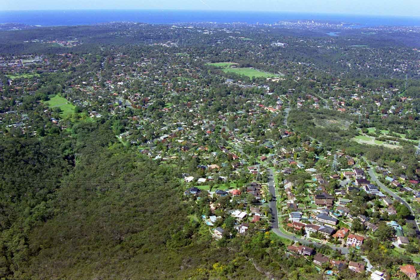 Davidson northern beaches buyers agent