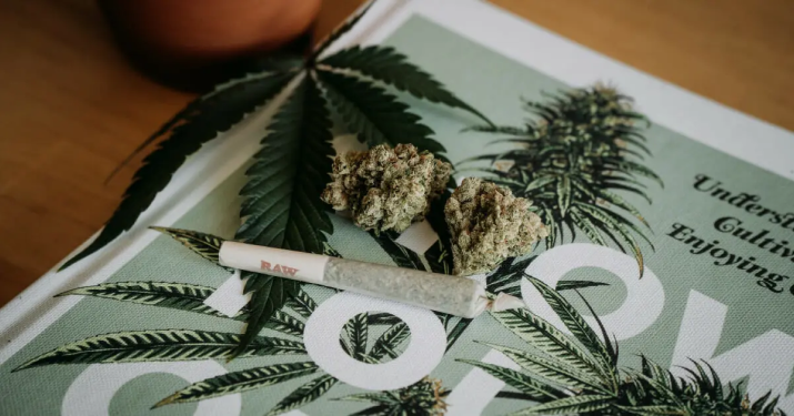 A cannabis leaf, two buds, and a rolled joint resting on a book titled 