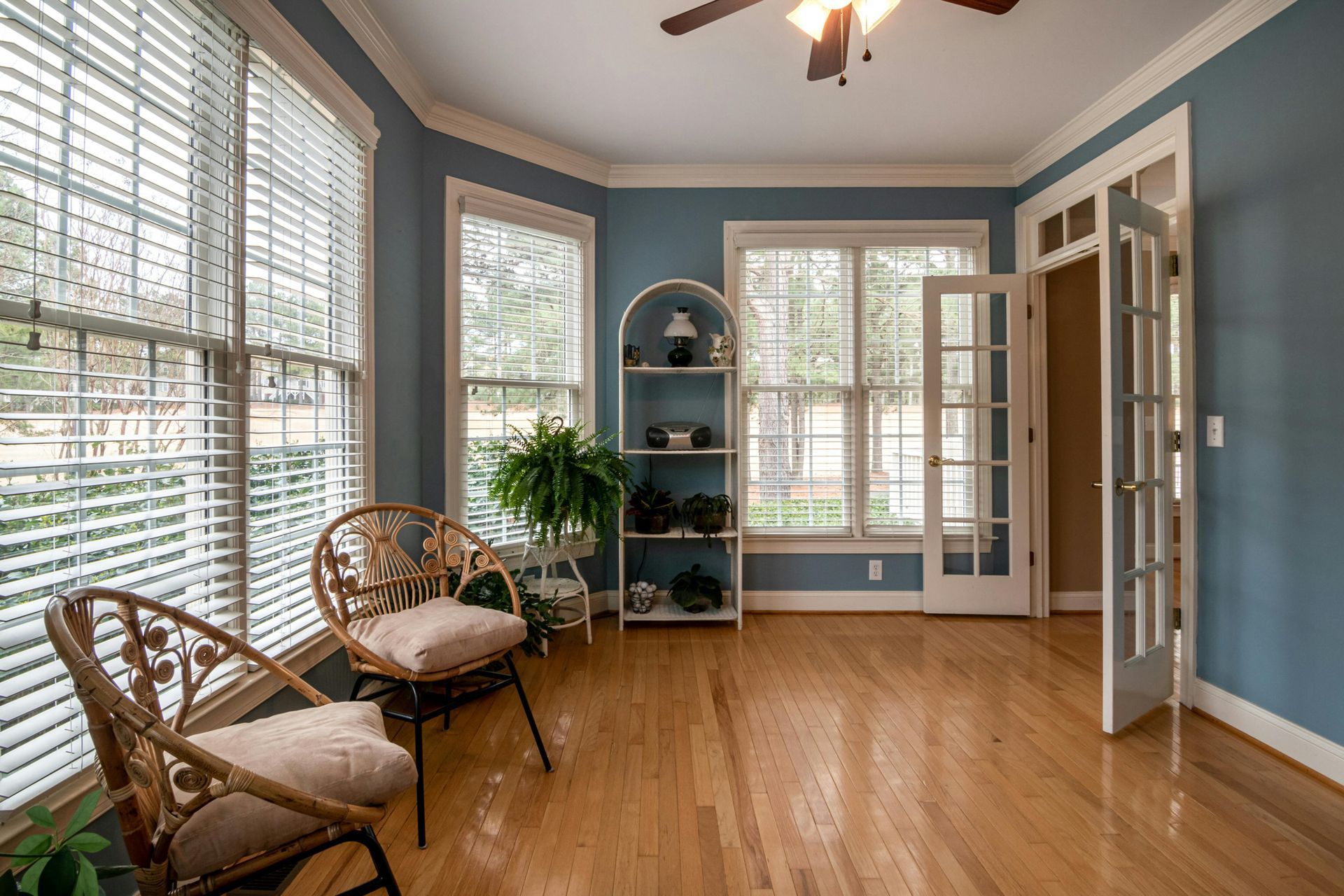 A living room with hardwood floors , blue walls and a ceiling fan.