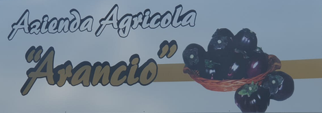 Azienda Agricola Arancio logo