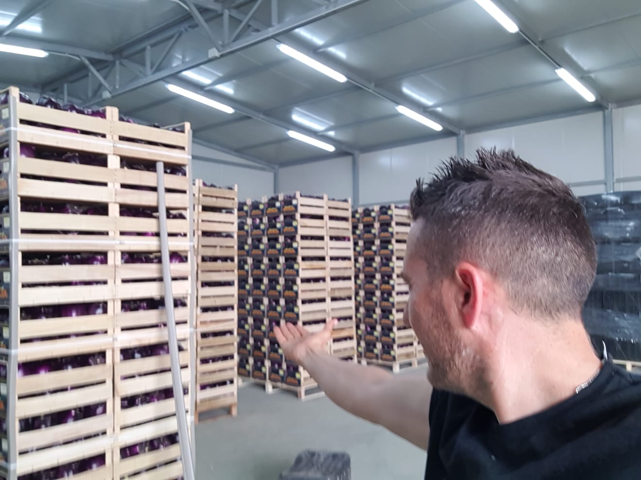 Azienda agricola melanzane